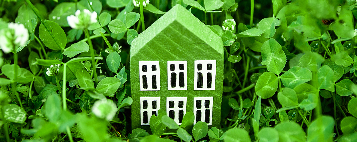 Petite maison en bois posée dans trèfle