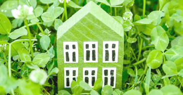 Petite maison en bois verte posée dans l'herbe