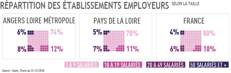 Répartition des établissements selon taille